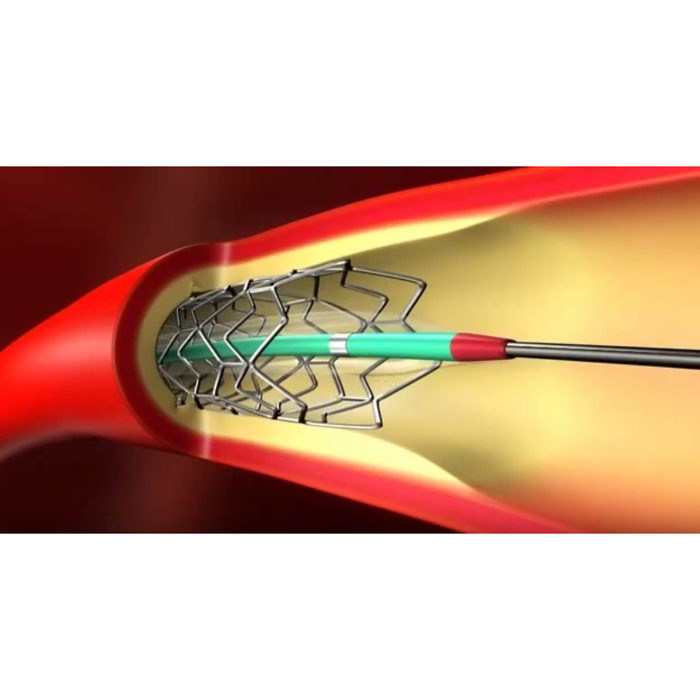 Flextome Cutting Balloon Dilatation Device Boston Scientific